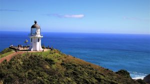 Covid normal cruising lighthouse