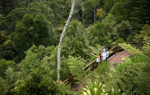 Norfolk Island Holiday