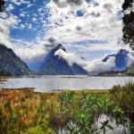New Zealand Wonderland